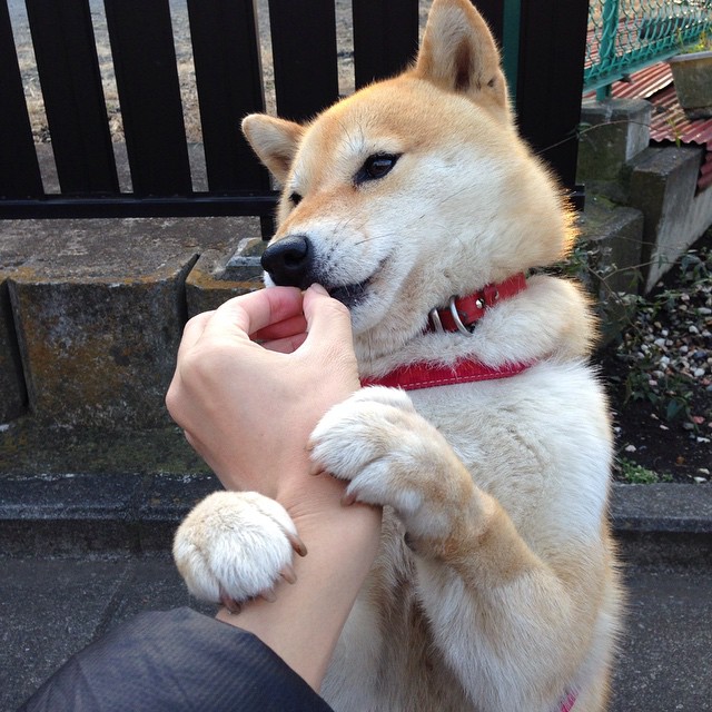 博卡青年展现韧性,但技术短板明显,博卡青年培养出的球星