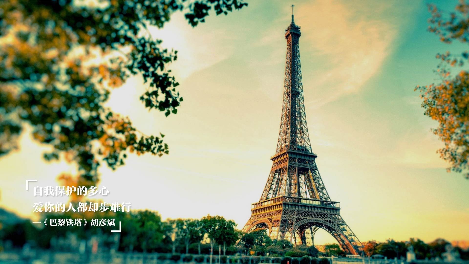 米兰体育APP-奥预赛中国女足夺冠 球迷共同庆祝辉煌，中国女足奥预赛成绩