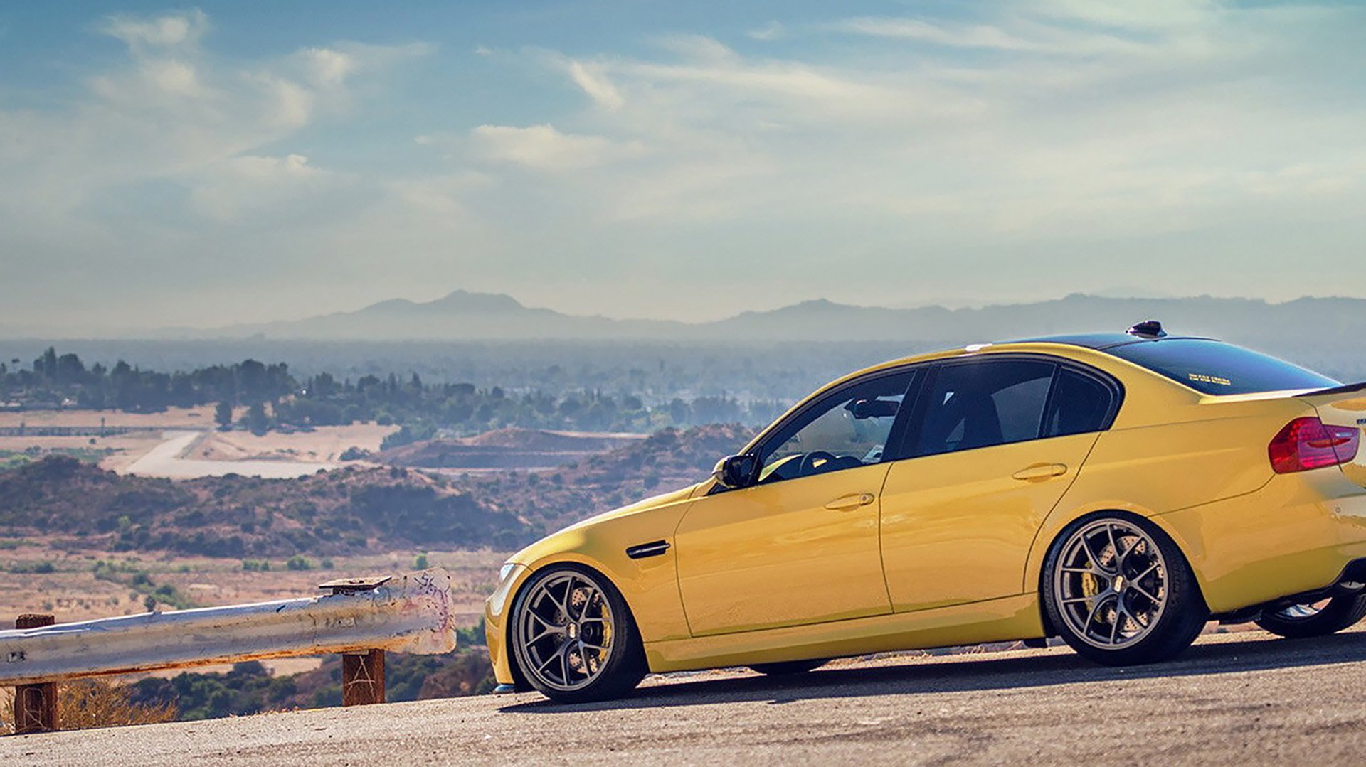 德国队2024年表现：全力以赴，挑战世界乒乓强队，德国队乒乓球成绩