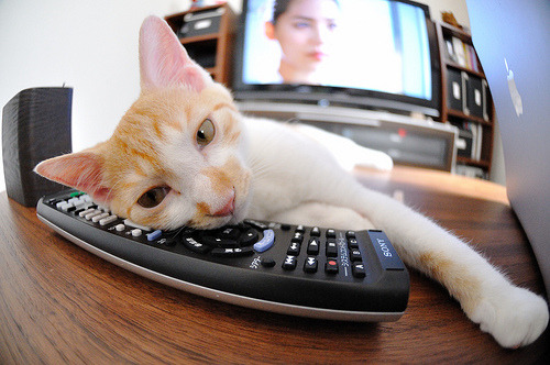 世界杯逆天逆转:英雄再造奇迹!,世界杯大逆转