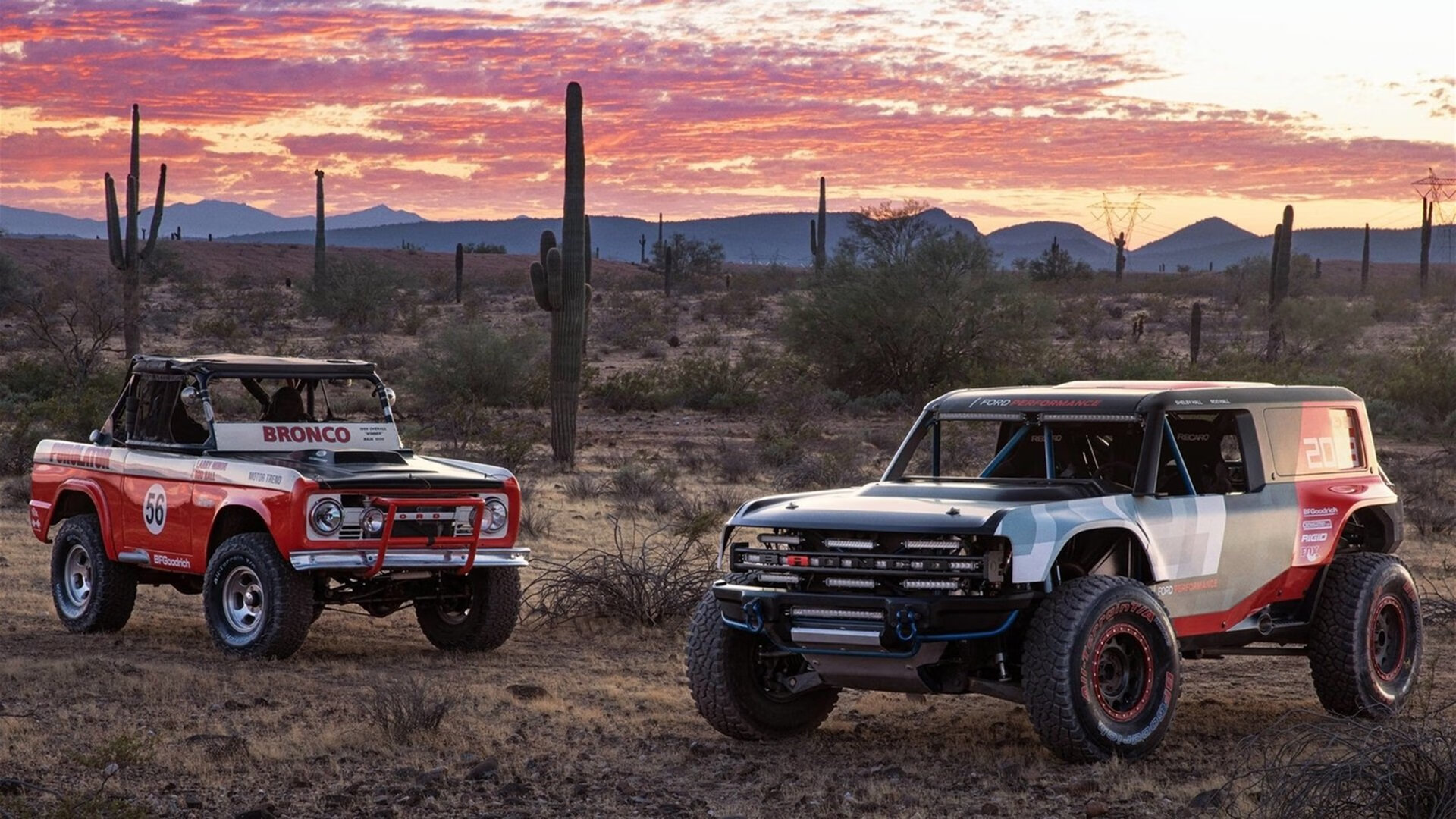 -凯尔·查默斯男子100米自由泳决赛强势冲刺，男子100米自由泳决赛冠军