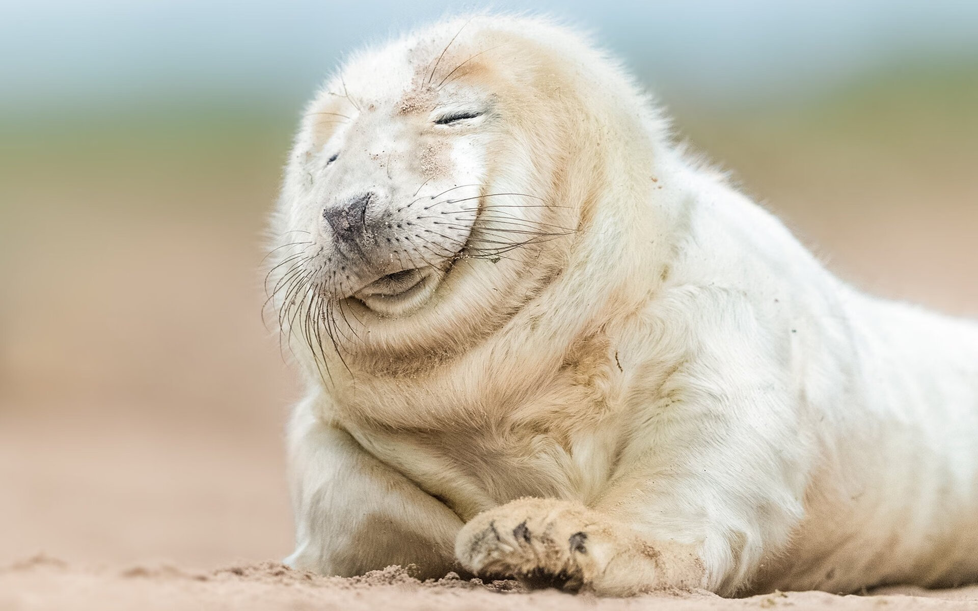 米兰体育APP-女篮技术统计系统升级实现数据实时同步分析精度提升，女篮技巧