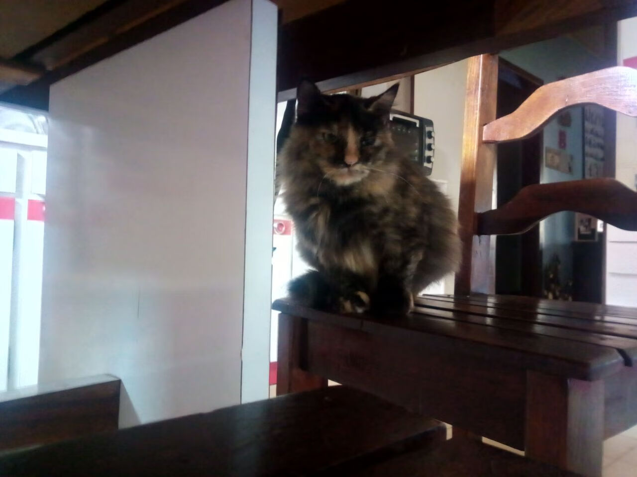 AC米兰-平台上线战术互动模块球迷可模拟排兵布阵提升参与体验，足球战术模拟