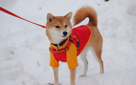 米兰体育APP-步行者三分线外制造空位进攻更加流畅，步行者三巨头