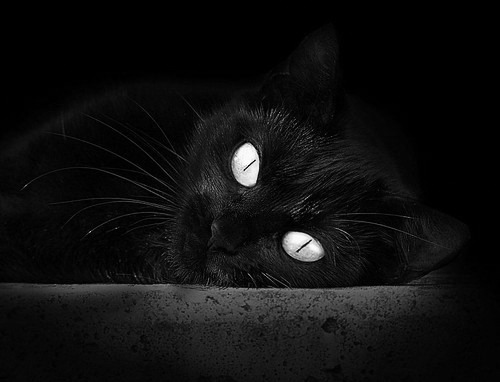 水球比赛比利时防线严密，水球比赛视频片段